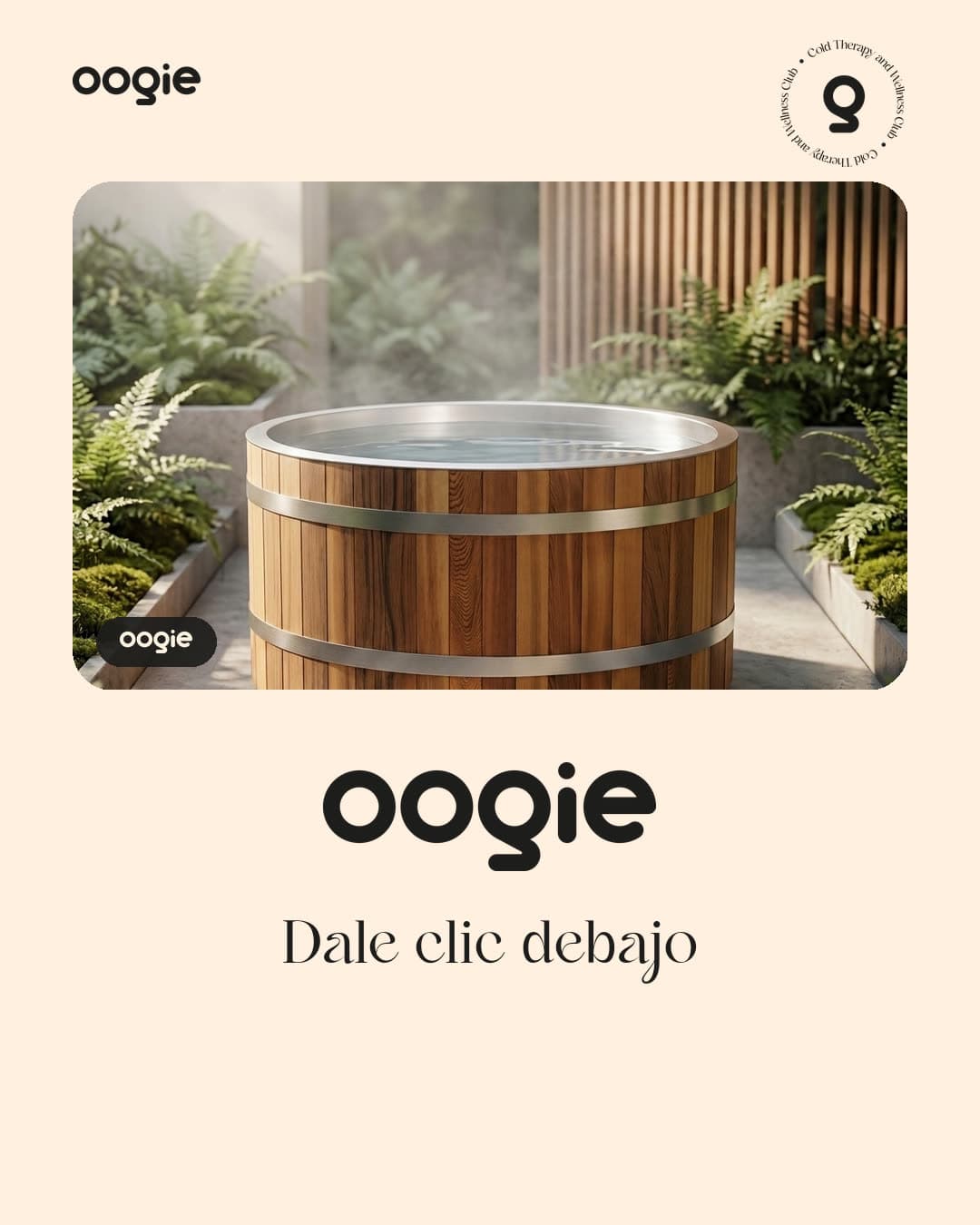 Oogie — Oogie 03