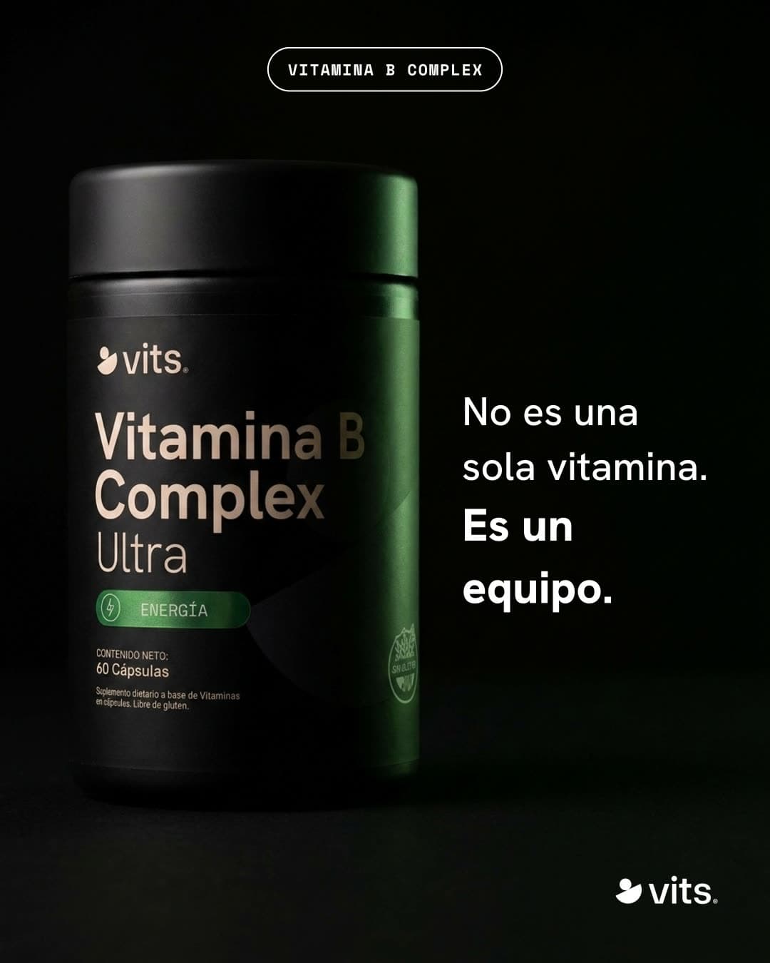 VITS — slide-2